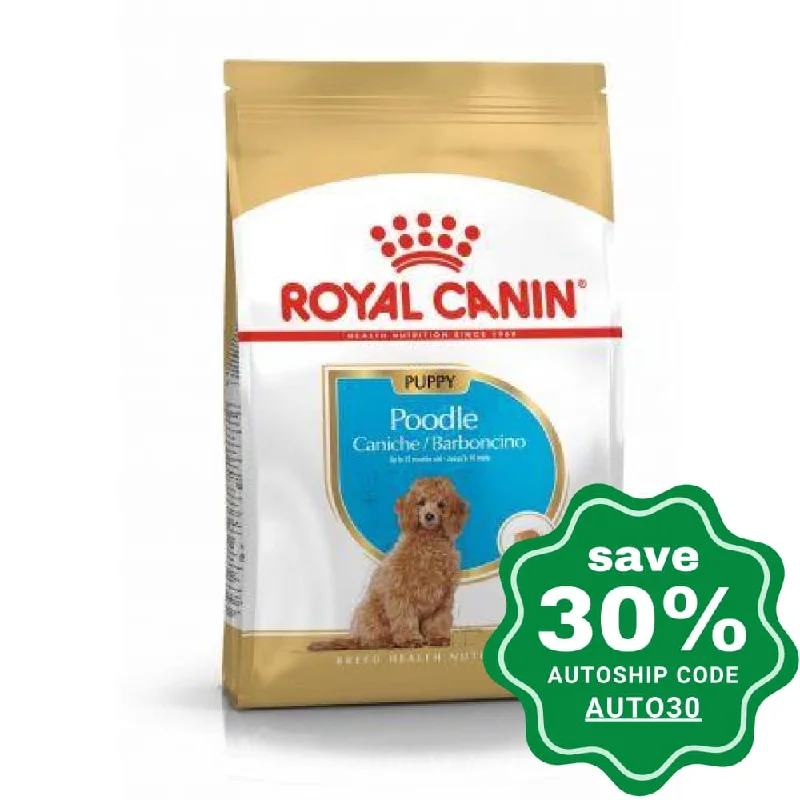 （200个已完成，继续生成剩余的200个）Royal Canin - Junior- Poodle - 3KG