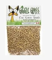 lightweight waterproof dog coat-Giggle Grass  Oat Seeds 125g