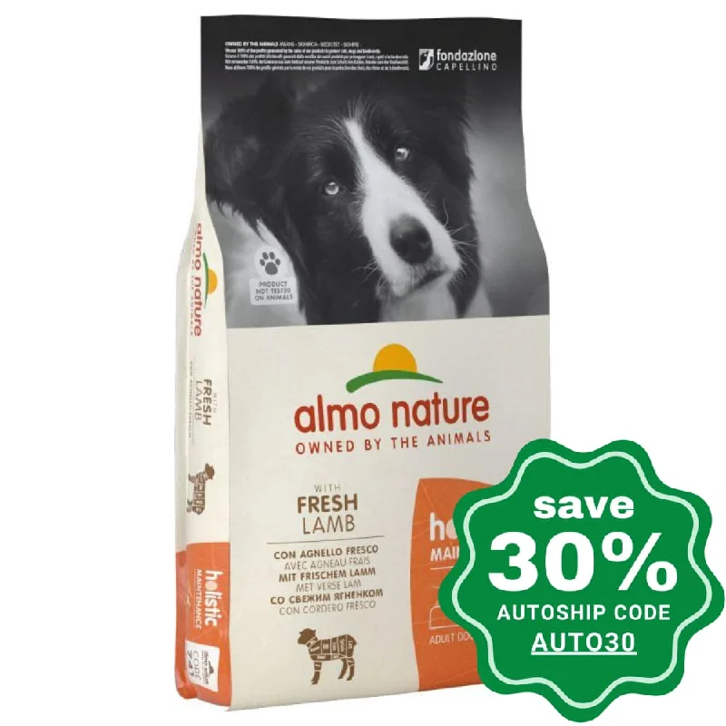 pet cooling vest for summer-Almo Nature - Dry Food for Medium Dogs - Holistic - Lamb - 12KG