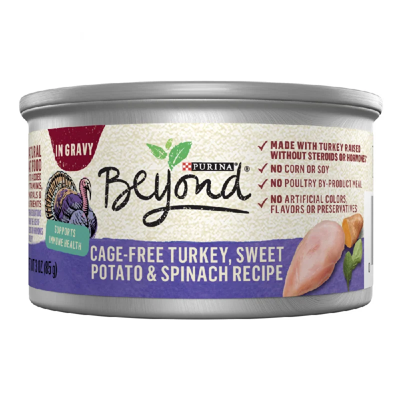 dog-friendly probiotic supplement-Purina Beyond Cage Free Turkey, Sweet Potato & Spinach Recipe Canned Cat Food