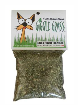 lightweight foldable dog ramp-Giggle Grass Catnip 0.5 oz