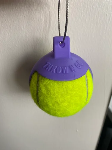 chew-proof bird swing-Throw 'n' Go Ball Holder