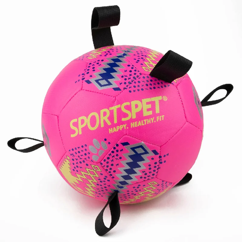 spill-proof hamster water bottle-Sportspet Tab Footballs 2 Sizes