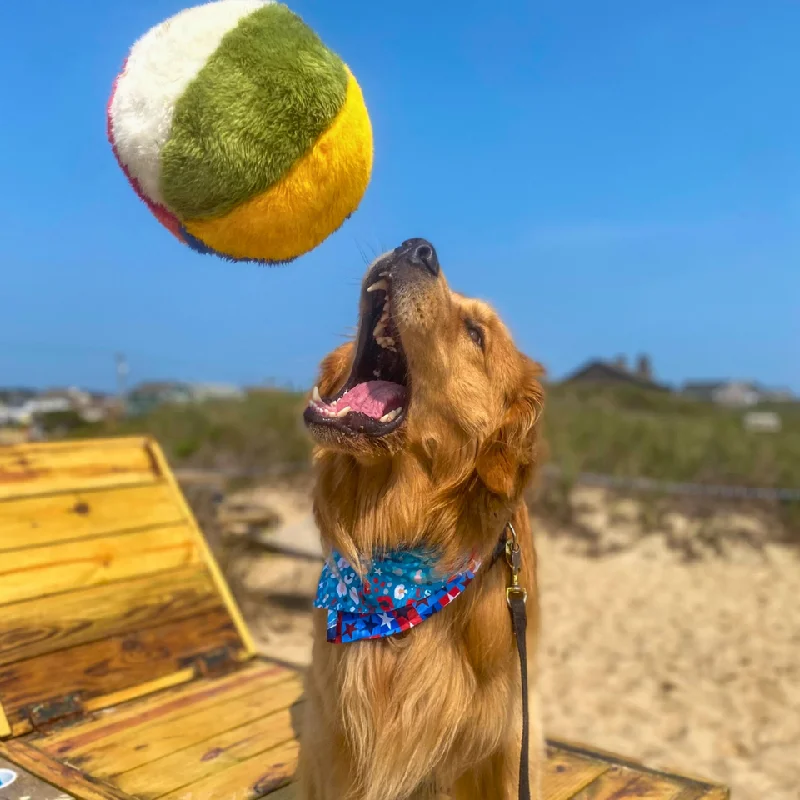 waterproof pet GPS tracker-Fluff & Tuff - Beach Ball