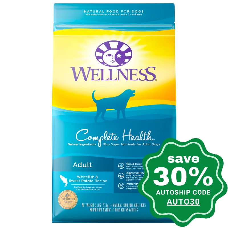 high-protein dog treats-Wellness - Complete Health - Dry Dog Food - Whitefish & Sweet Potato - 5LB (Min. 3 Packs)