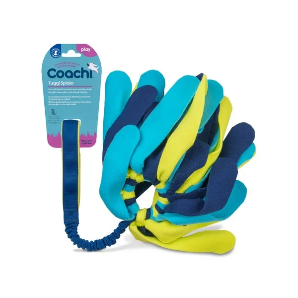 （200个已完成，继续生成剩余的200个）Coachi Tuggi Spider Navy Lime & Light Blue Training Toy