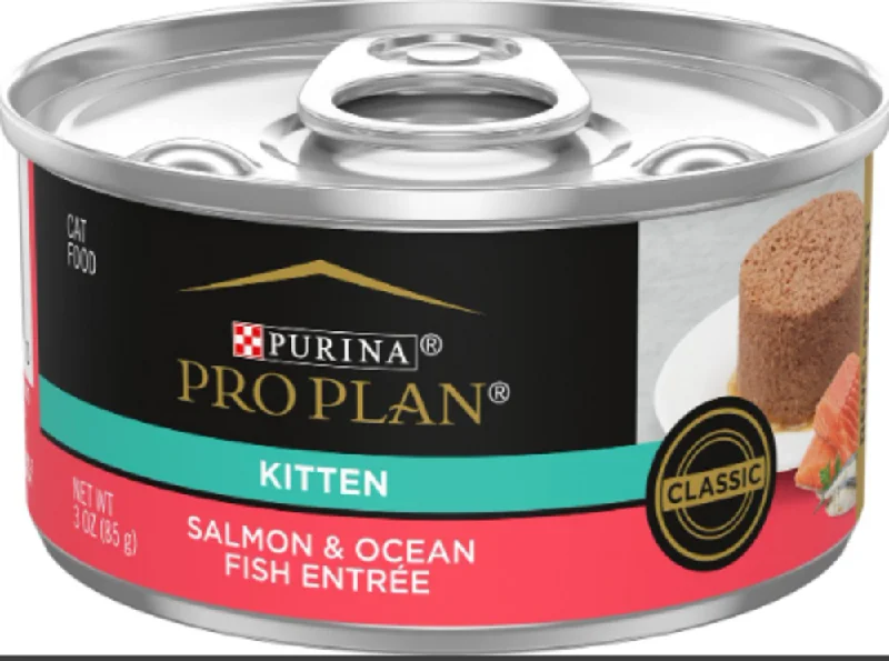 chew-resistant hamster wheel-Purina Pro Plan Focus Kitten Classic Salmon & Ocean Fish Entree Canned Cat Food