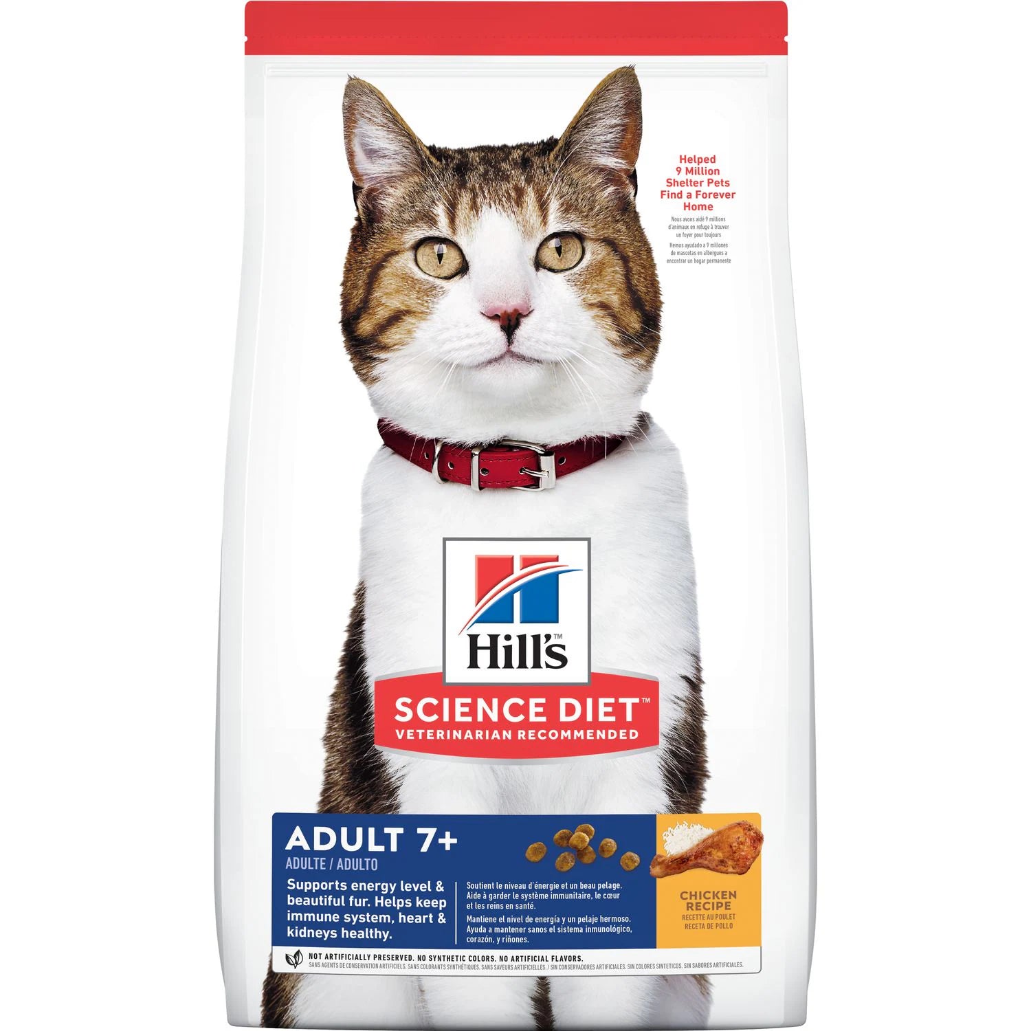 space-saving cat wall shelves-Hill's Science Diet Senior 7+ Dry Cat Food, Chicken Recipe (4 lb)