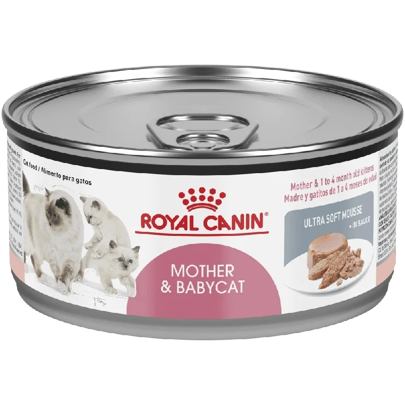 small breed orthopedic dog bed-Royal Canin Feline Health Nutrition Mother & Babycat Ultra Soft Mousse in Sauce Canned Cat Food