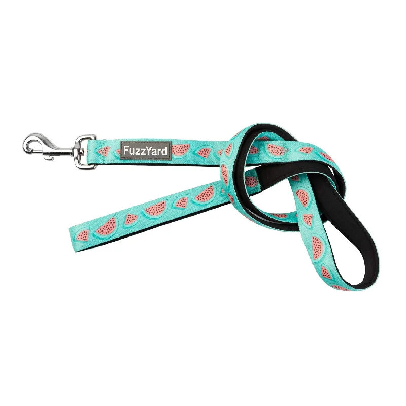 hamster-friendly exercise tunnel-FuzzYard Summer Punch Dog Lead