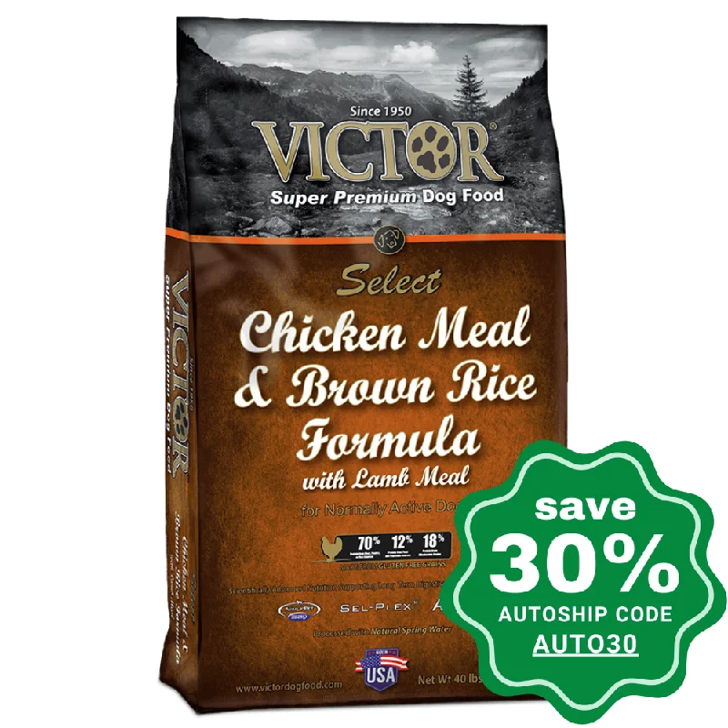 portable water bowl for pets-Victor - Chicken Meal & Brown Rice for All Life Stages - 40LB