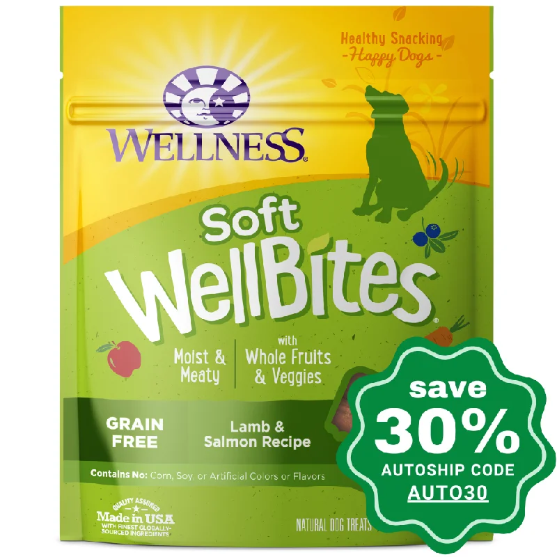 pet-safe odor eliminator candle-Wellness - WellBites - Grain Free Dog Treats - Lamb & Salmon - 6OZ (Min. 8 pcs)