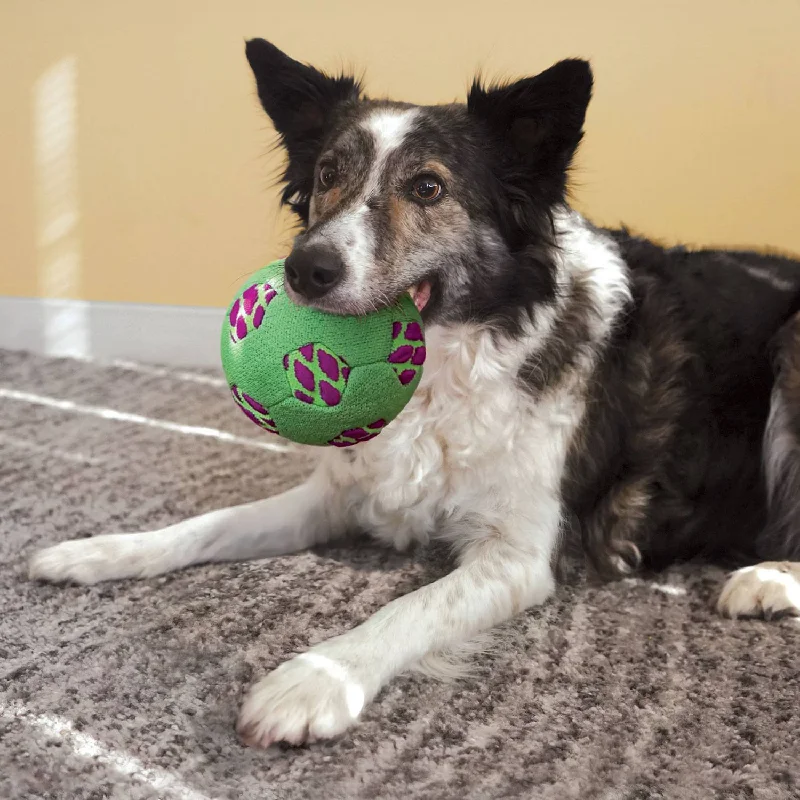 pet-friendly essential oils-KONG Sneakerz Sport Soccer Ball for Dogs