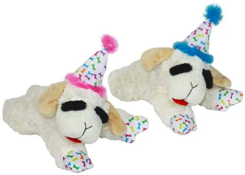 pet-friendly essential oils-Birthday Lamb Chop Toy