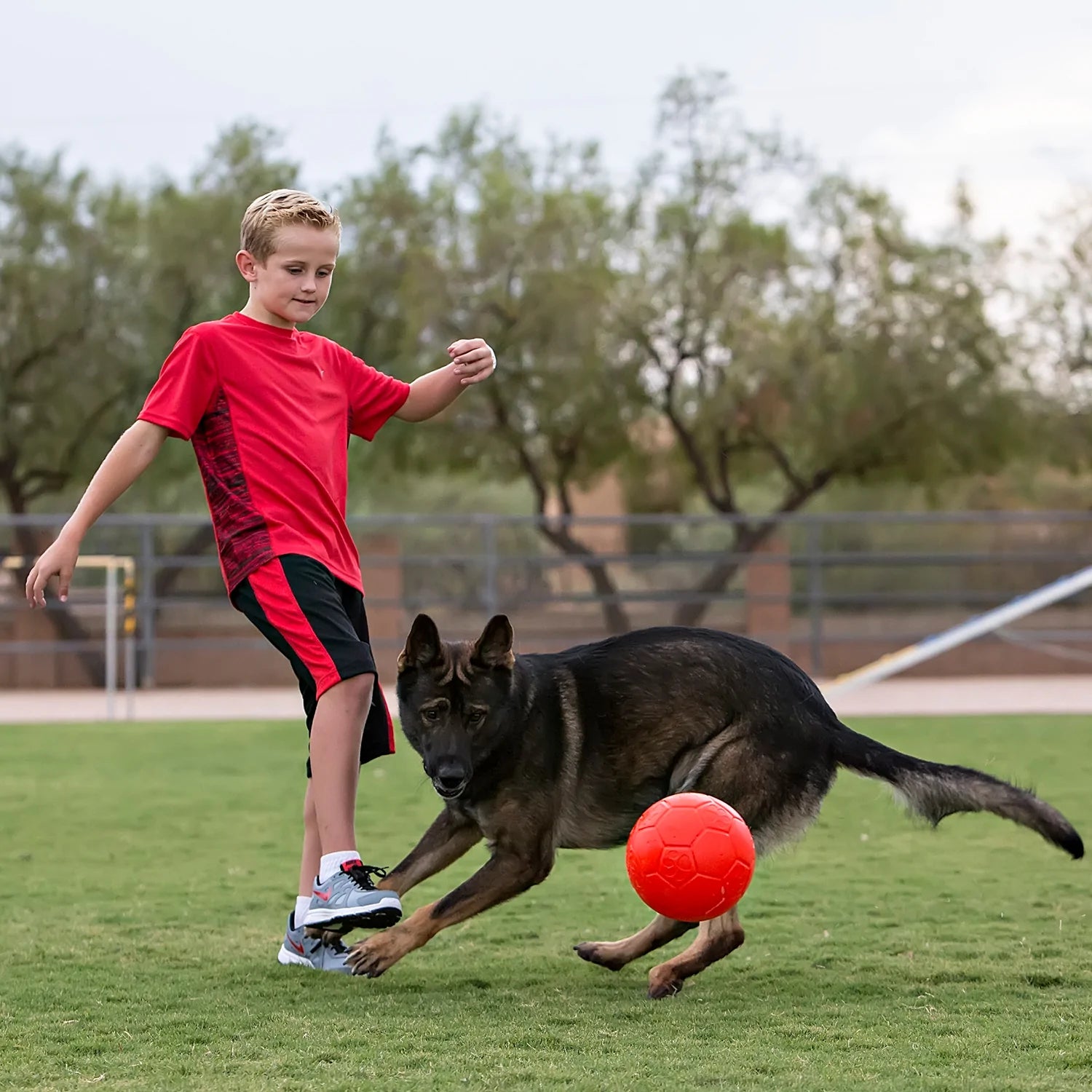 extra-durable dog rope toy-Jolly Ball- Soccer Ball