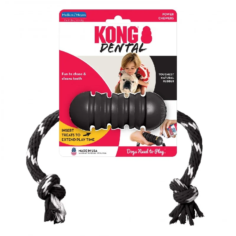 non-toxic fish tank decorations-KONG Extreme Dental With Rope Dog Toy