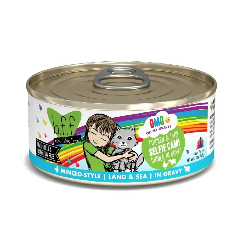 odor-control cat litter pellets-Weruva BFF Oh My Gravy Selfie Cam Grain Free Chicken & Lamb in Gravy Canned Cat Food