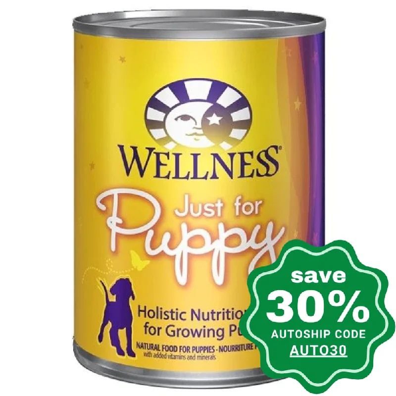 interactive treat-dispensing toy-Wellness - Complete Health Puppies - Wet Dog Food - Beef With Carrots - 12.5OZ (Min. 12 Cans)