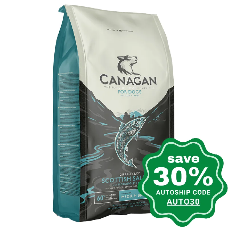 space-saving multi-level cat tower-Canagan - Grain Free Dry Dog Food - Scottish Salmon - 12KG