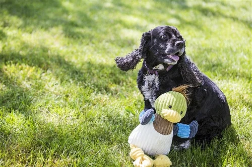 pet-safe disinfectant wipes-Dilly Duck Knottie Toy