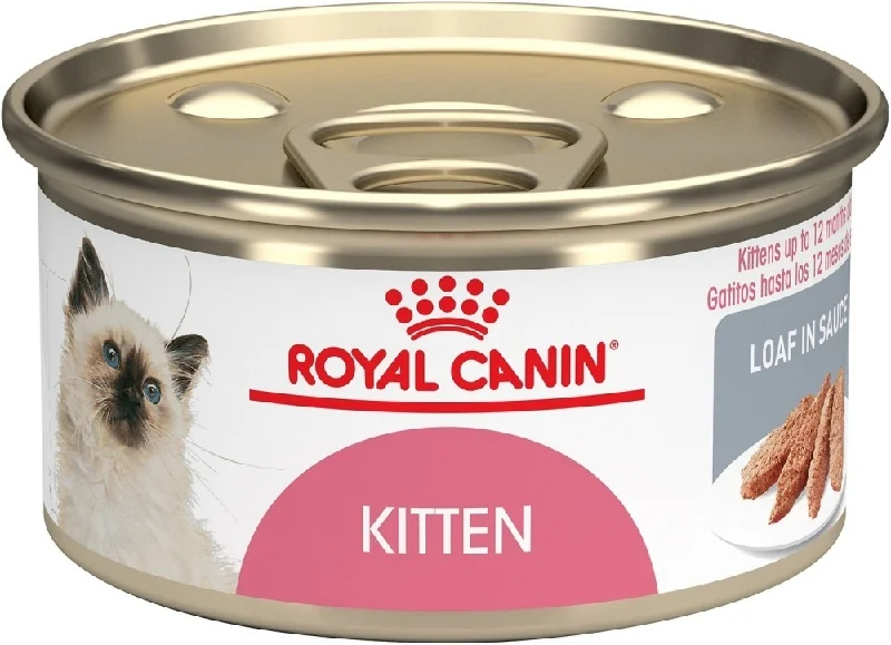 （200个已完成，继续生成剩余的200个）Royal Canin Feline Health Nutrition Kitten Instinctive Loaf in Sauce Canned Cat Food