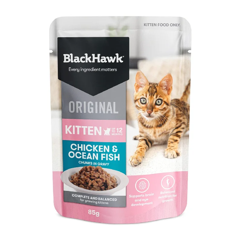 chew-proof steel dog bowl-Black Hawk Chicken & Oceanfish in Gravy Kitten Wet Cat Food