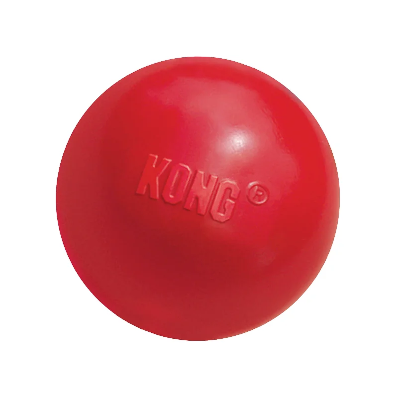 hamster chew toy bundle-KONG Ball with Hole