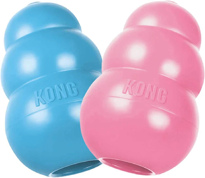 portable pet water dispenser-KONG Puppy